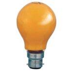 Globe B.C. 40W Orange