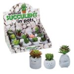 Plant-In-Pot Animal W/Succulent Asstd