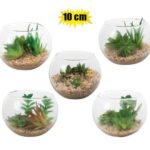 Plant-In-Bauble Pl Succulent 10Cm Asstd