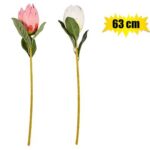 Flower Protea 63Cm Asstd