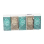 Pocket Tissues 2-ply, 10Piece