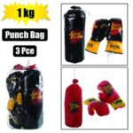 Boxing-set gloves+bag
